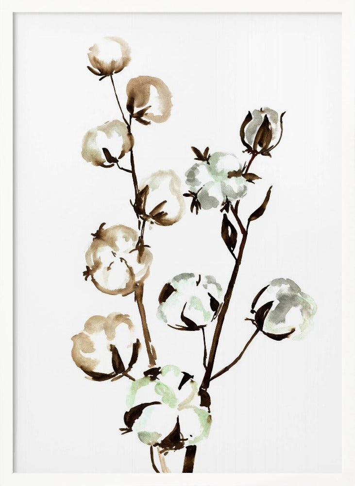 Watercolor cotton branch II Poster