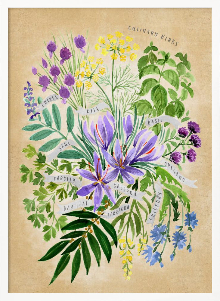 Culinary herbs in vintage sepia Poster