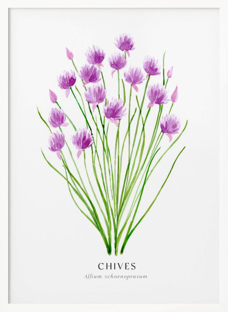 Chives I Poster