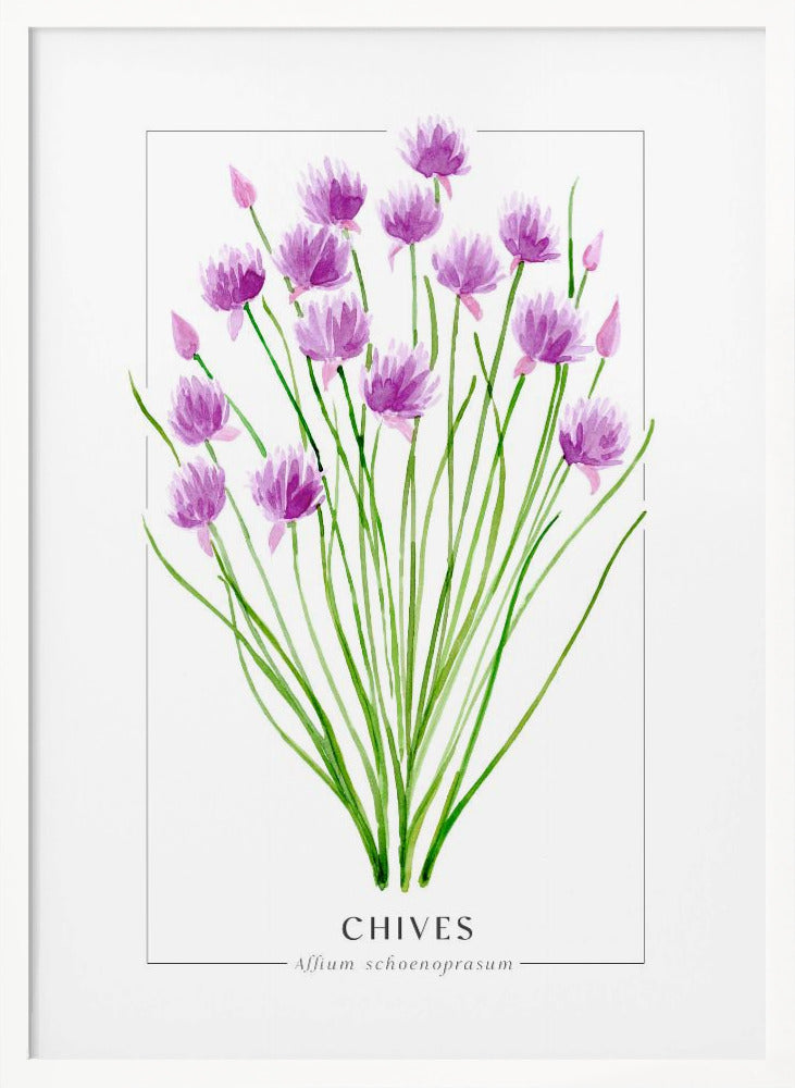 Chives II Poster