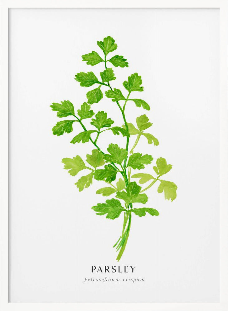 Parsley I Poster