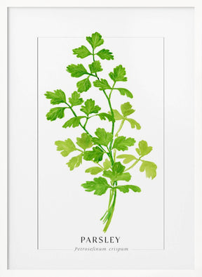 Parsley II Poster