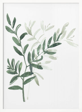 Watercolor laurel branch Poster