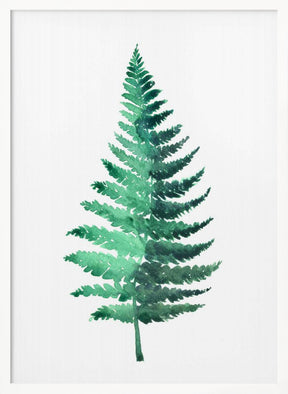 Watercolor fern Poster