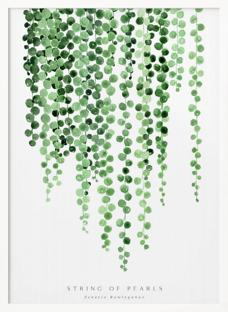 Watercolor string of pearls Poster