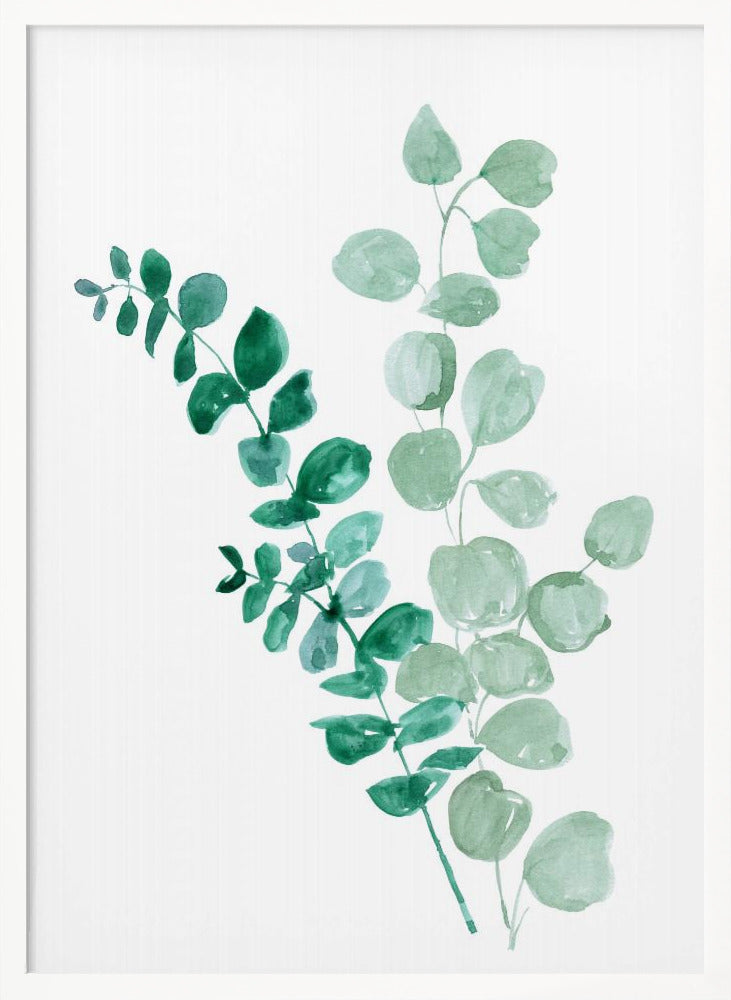 Two eucalyptus branches Poster