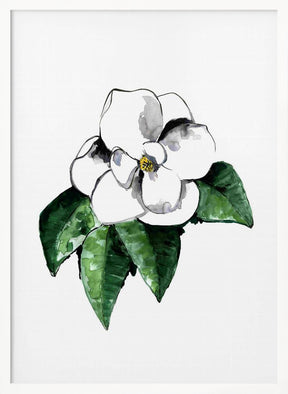 White magnolia Poster