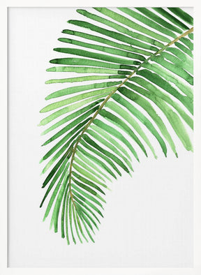 Palm leaf in loose watercolor Poster