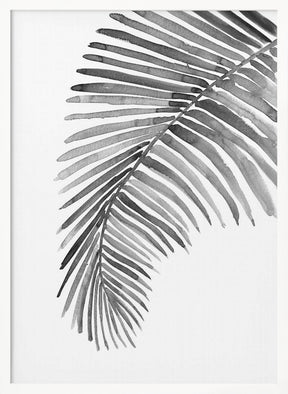 Palm leaf in loose watercolor Black and White Poster