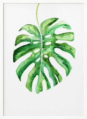 Monstera Leaf Poster