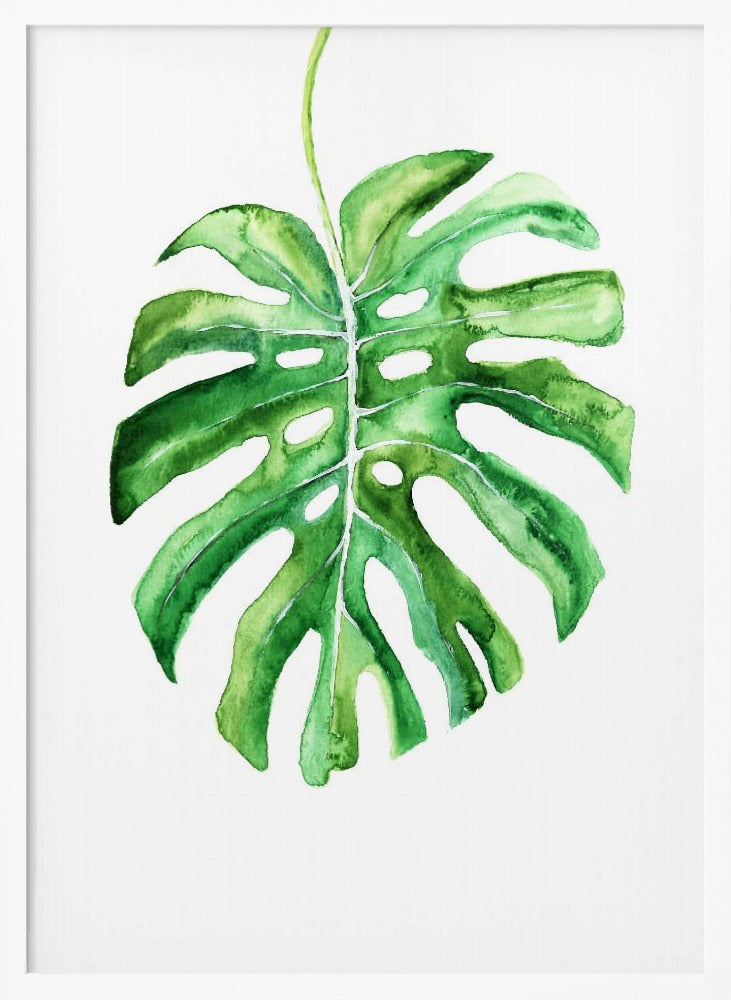 Monstera Leaf Poster