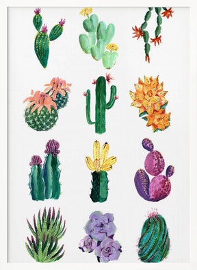 Collection of cacti Poster