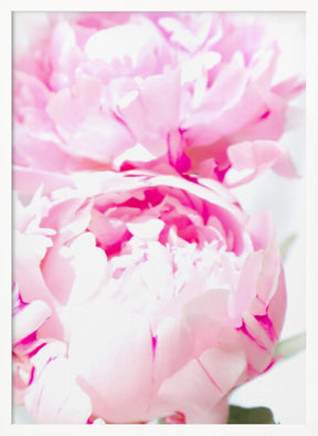 Pink peony X Poster