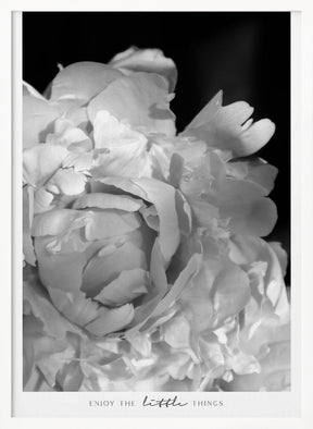 Enjoy the little things peony BW Poster