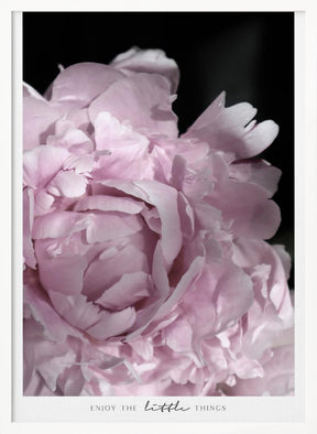 Enjoy the little things peony Poster