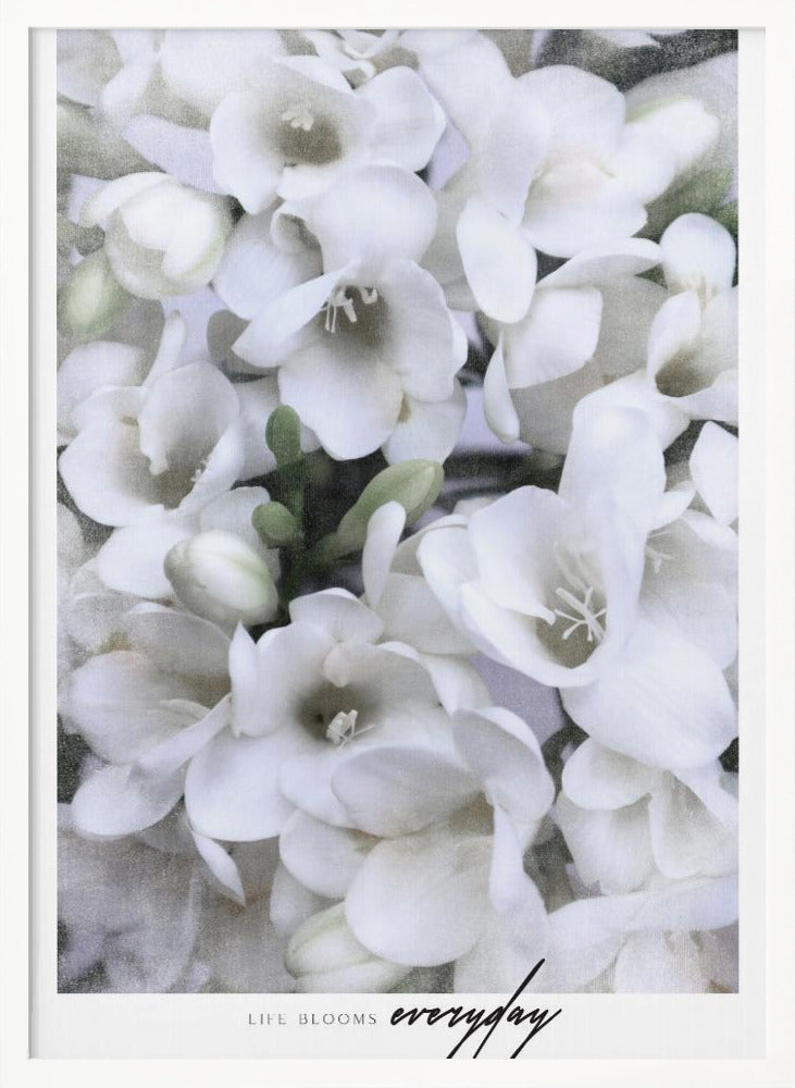 Distressed freesias II Poster