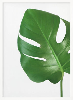 Bright green monstera leaf Poster