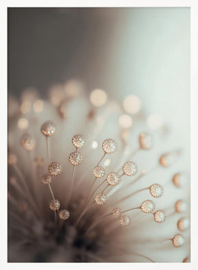 Glassy Flower Poster