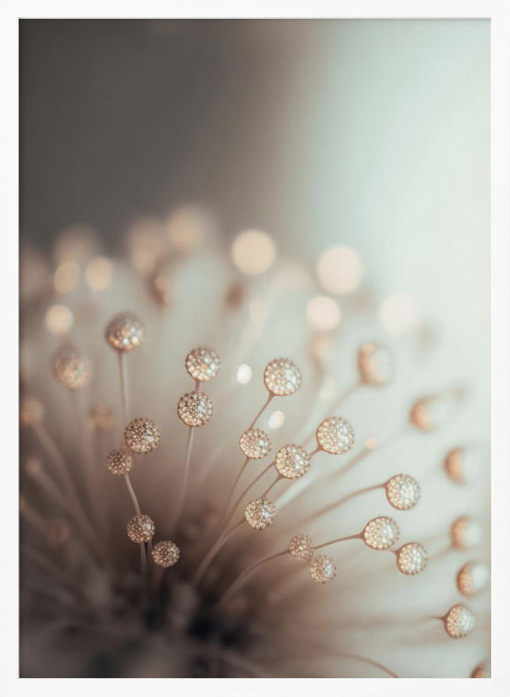 Glassy Flower Poster