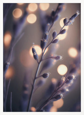 Lavender Macro Poster