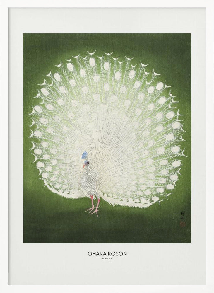 Peacock - Wide Poster