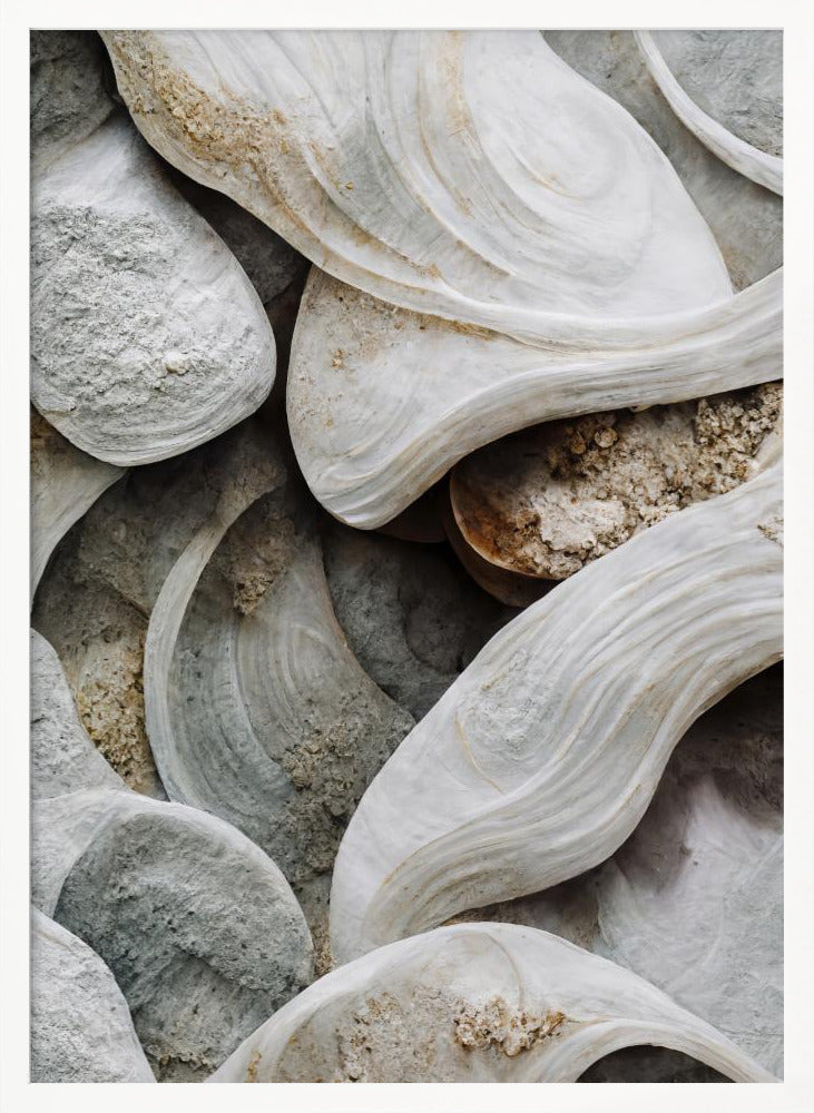 Sea Shells Detail No 3 Poster