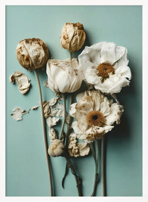 Dry Flowers on Turquoise Background Poster