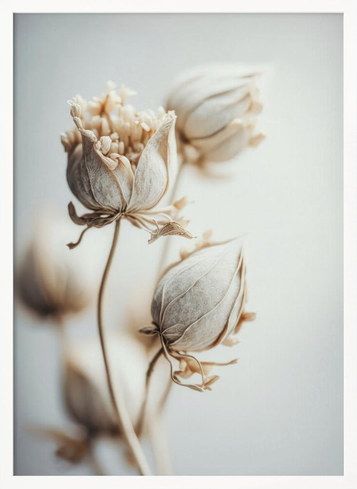 Beige Felt Flowers Poster