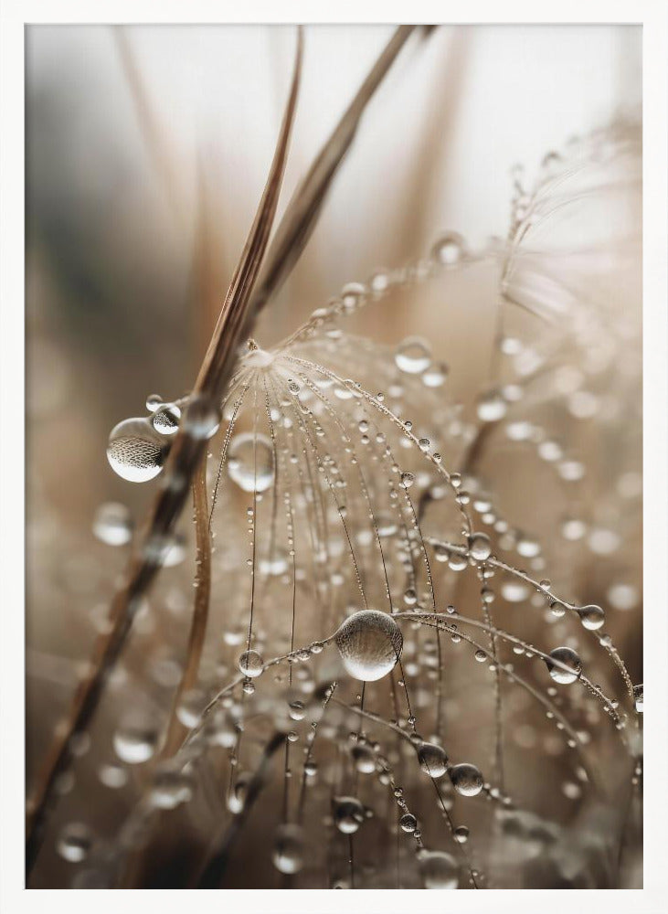 Rain Drops Poster