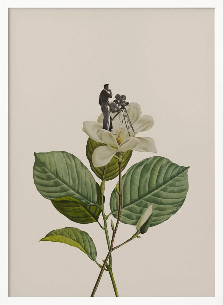 Botanical vintage cameraman Poster