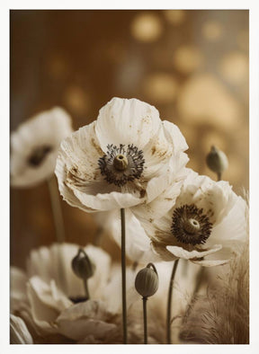 White Poppy Poster