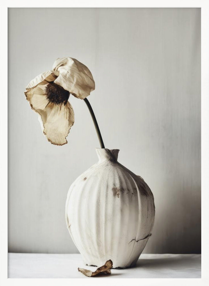 White Ceramic No 4 Poster