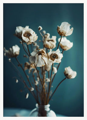 White Flowers On Turquoise Background Poster