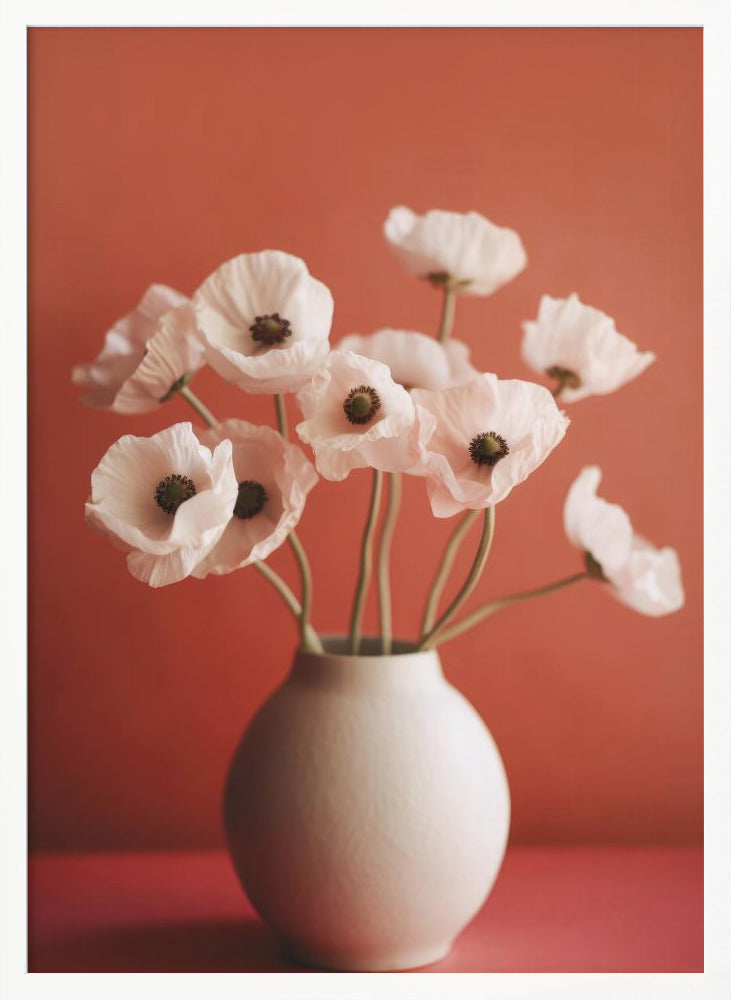 White Poppy On Orange Background Poster