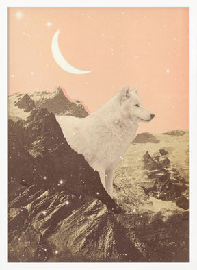 Giant White Wolf In Mountains Poster