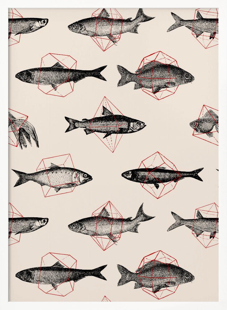 Fishes In Geometrics Nº4 Poster