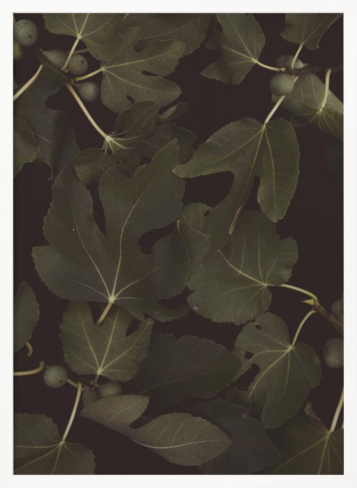 Botanical   Night Poster