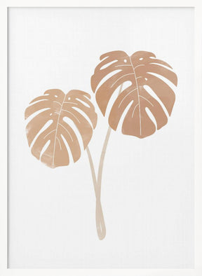 Monstera Plants Poster