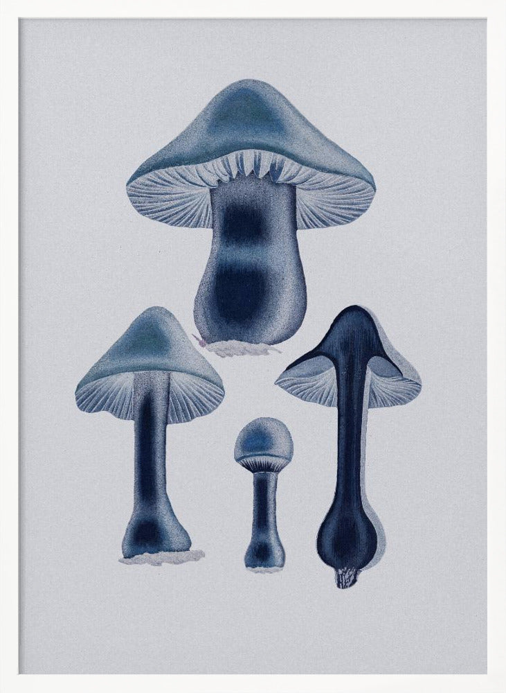 Agaricus Bulbosus - Blue Poster