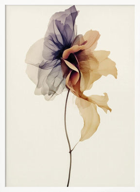 Chiffon Flower Poster