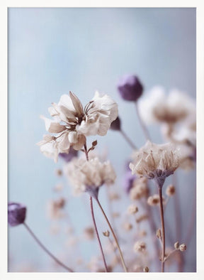 Pastel Dry Flowers No 4 Poster