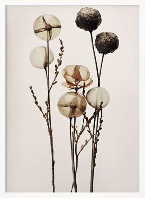 Glass Ball Flowers Poster