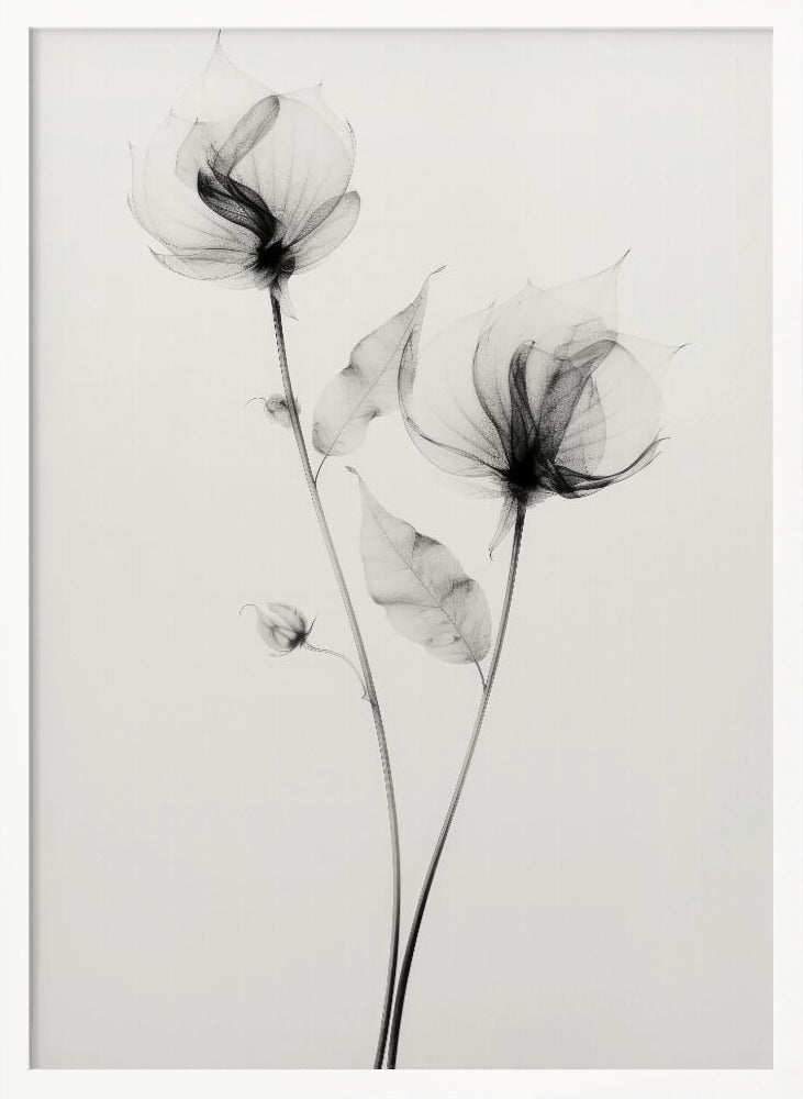 Transparent Botanic No 7 Poster