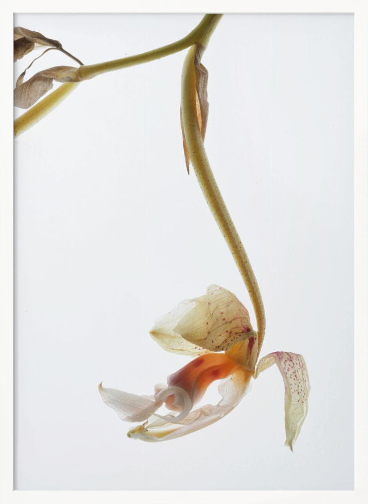 Arch Angle No1 Poster