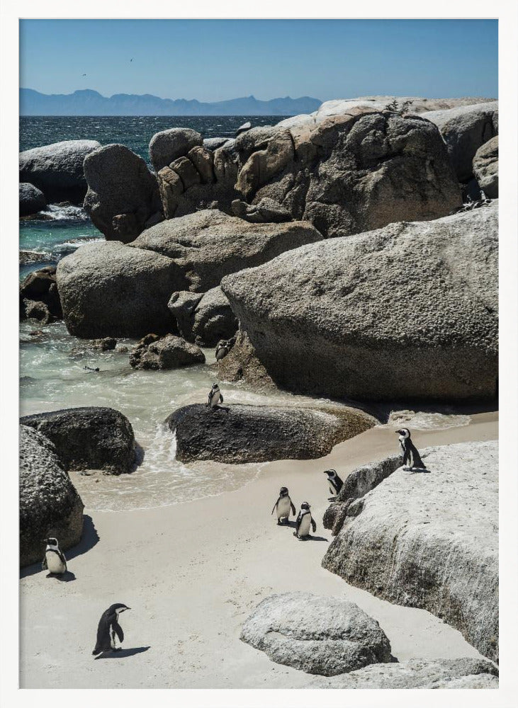 Boulders Beach Poster