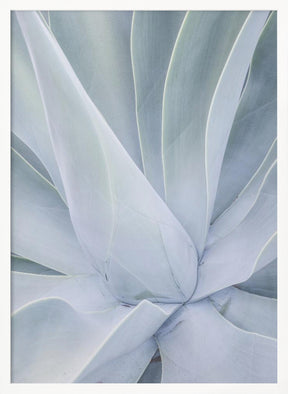 Crystal Cactus No2 Poster