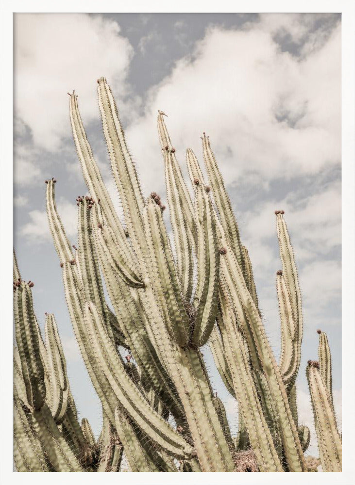 Desert Cathedral Poster