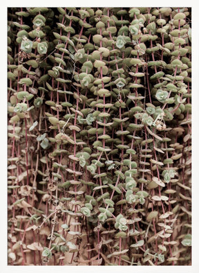 Hanging Garden Poster