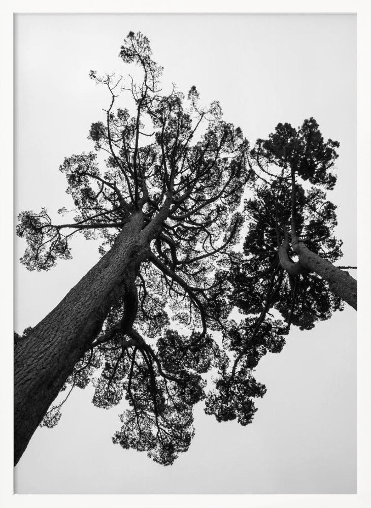 Japanese Garden 02 Poster