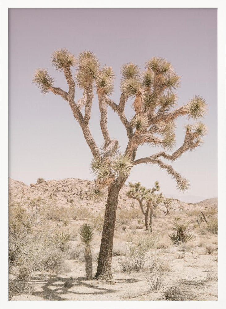 Joshua Tree Poster